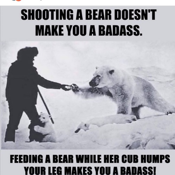 Meet your Posher, Darnell - Picture 1 of 1